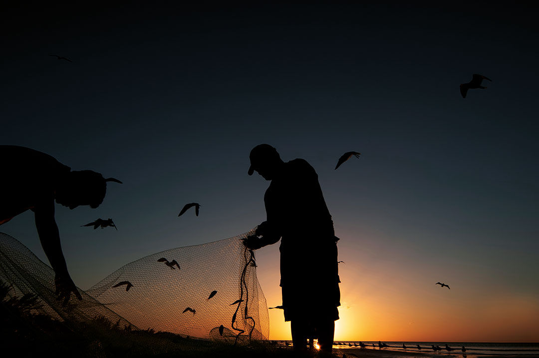 Two fishermen at sunset on the beach clean the fishing nets - in the background the colorful sky and seagulls in flight