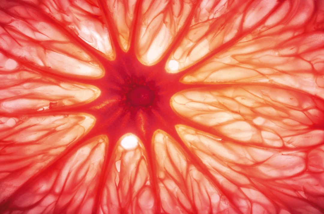 image of a macro abstraction of a sliced grapefruit