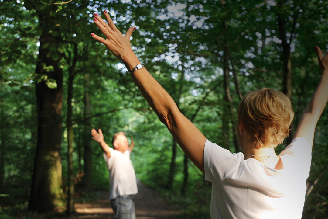 Forest bathing (Shinrin yoku), nature therapy