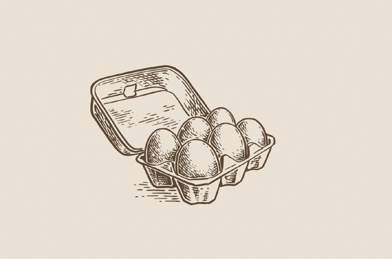 sepia drawing of an egg box, open and with six eggs inside it