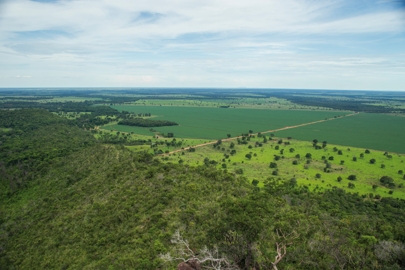  aereal view of a soybean plantation in Cerrado, Mato Grosso, Brazil