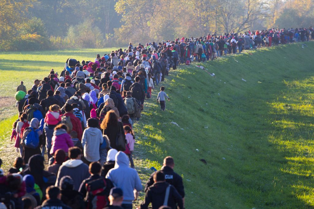 Several thousand refugees are wandering into the direction of Deutscland Dramatical picture from European refugees crisis see my collection from refugees 25.10.2015 Slovenia Breznice