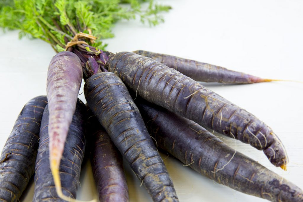 Bunch of heirloom purple carrots, over white and wooden background.