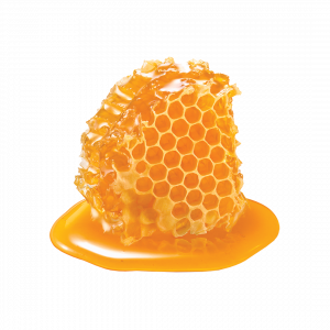 Honeycomb piece. Honey slice isolated on white background. Package design element