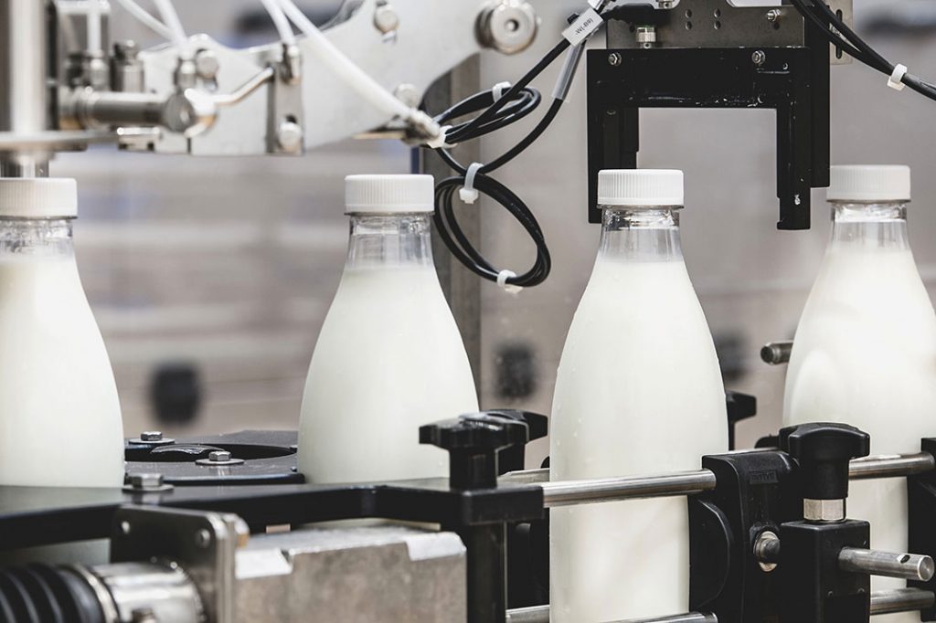 bottles of milk in factory