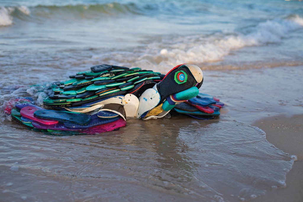 Going up the cliffs, the activist switched his backpack filled with goose barnacles to a backpack filled with materials the sea desperately tries to give back.