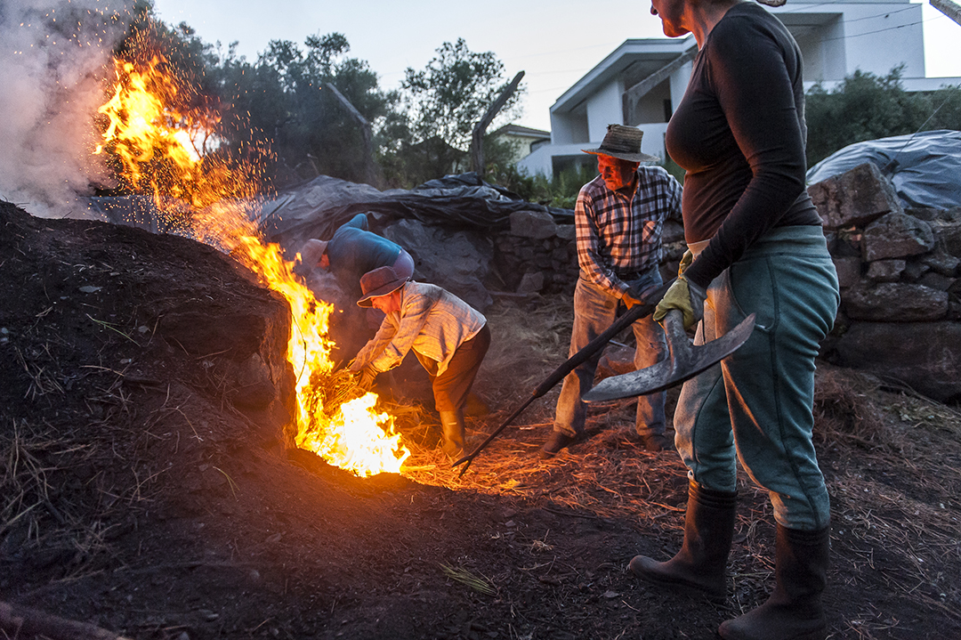 Men covering the artisanal kiln dug in the ground with pine needles and wood wastes.