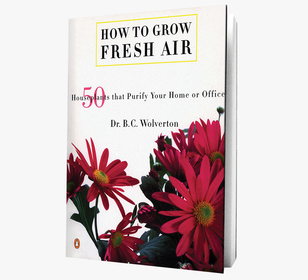 How To grow Fresh Air book