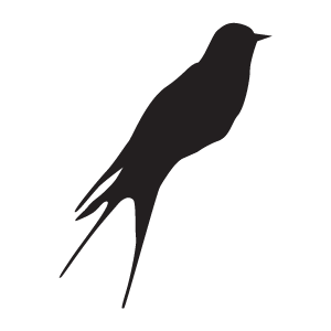 bird icon