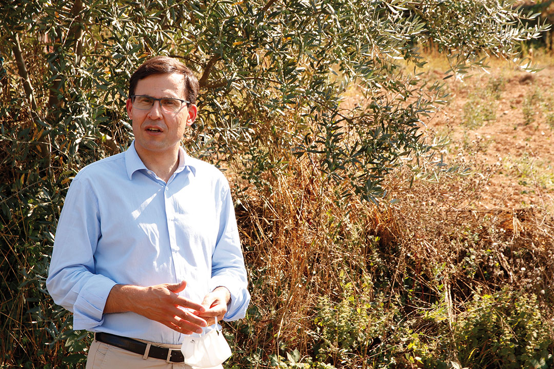 The Mayor of Arganil, Luís Paulo Costa, says that this is “more than planting trees, it’s about planting a new forest.”