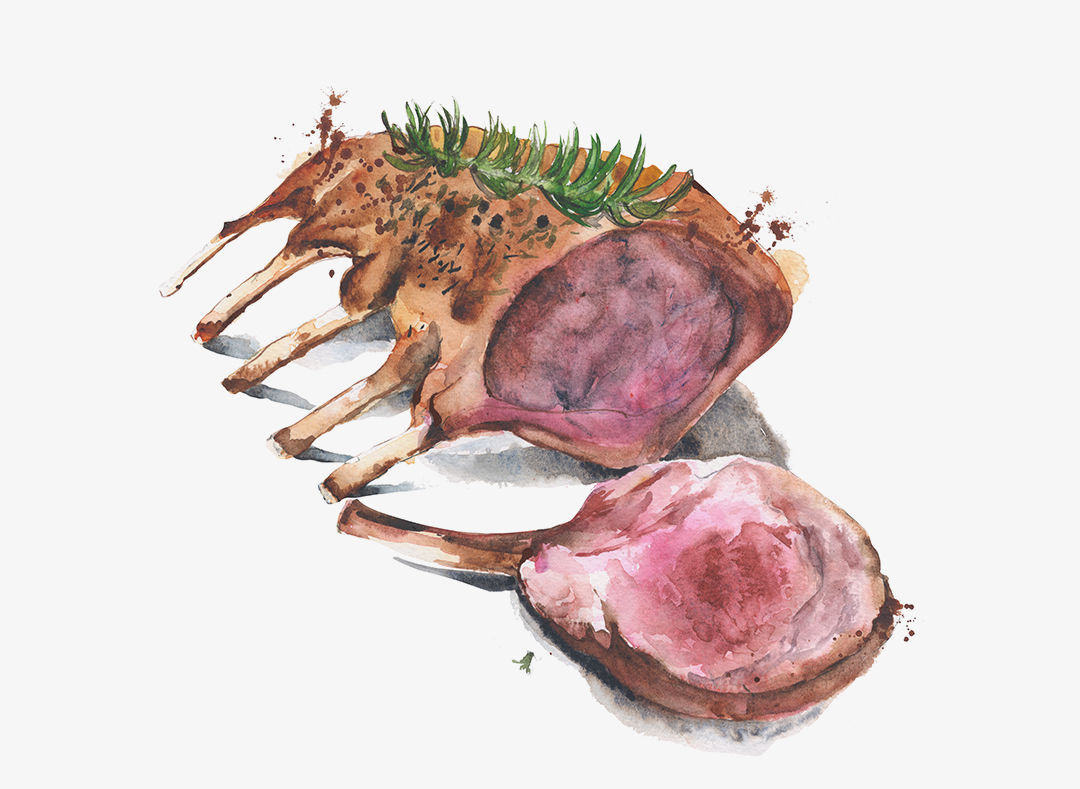 Lamb rack meat sliced watercolor painting illustration isolated