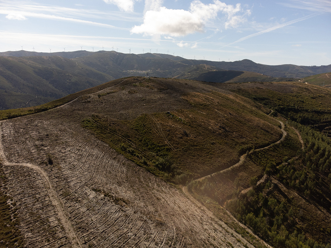 aerial photography of serra do açor