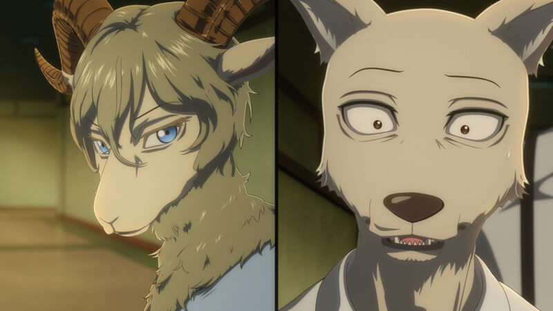 アニメ Beastars 第2期第19話先行カット公開 演劇部にある悲劇が起きてしまう 21年2月15日 Biglobeニュース