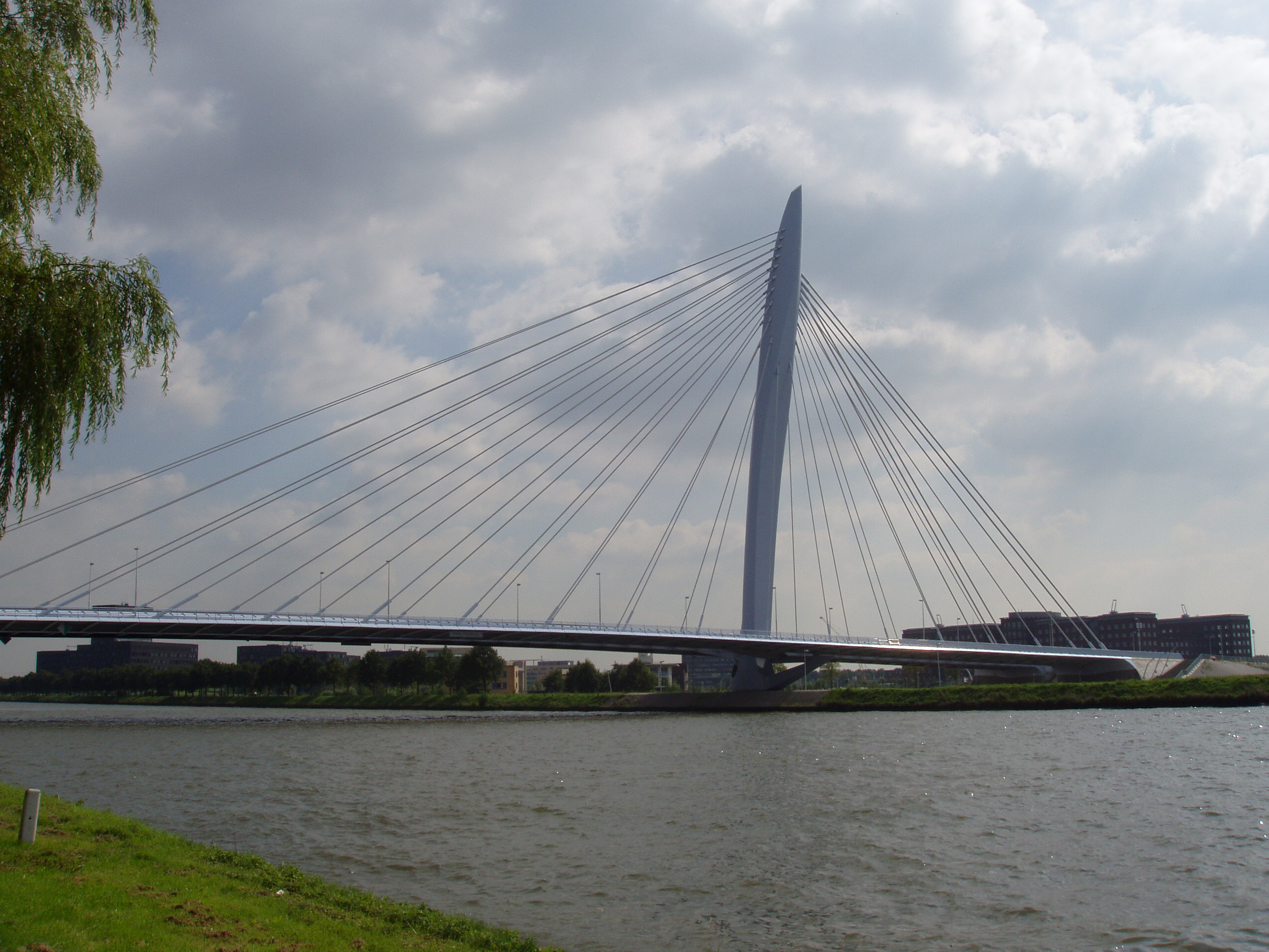 Cable-Stayed Bridge
