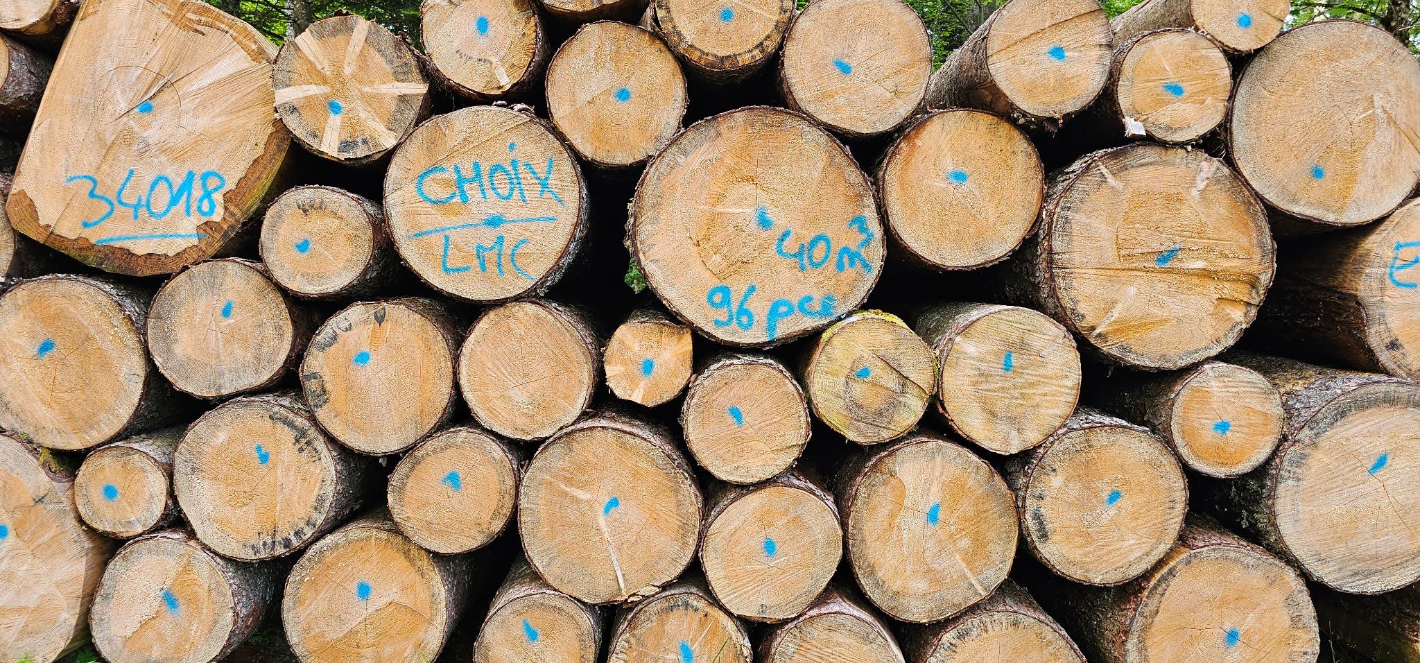 Volume of Wood Cut