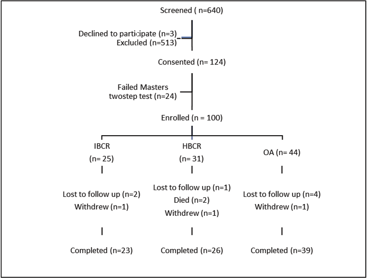 Outline of study participant allocation.