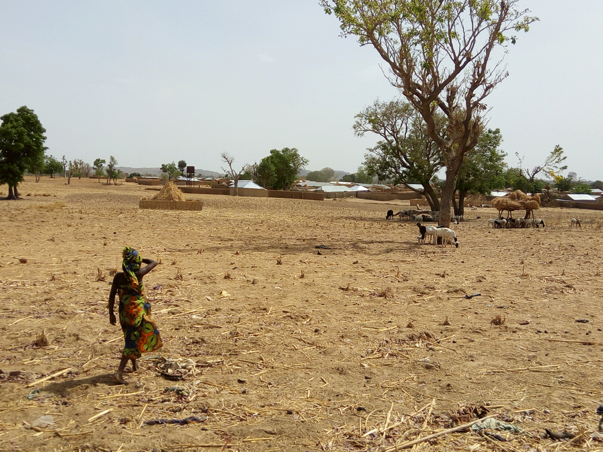 A child walks home on the outskirts of Abare Village