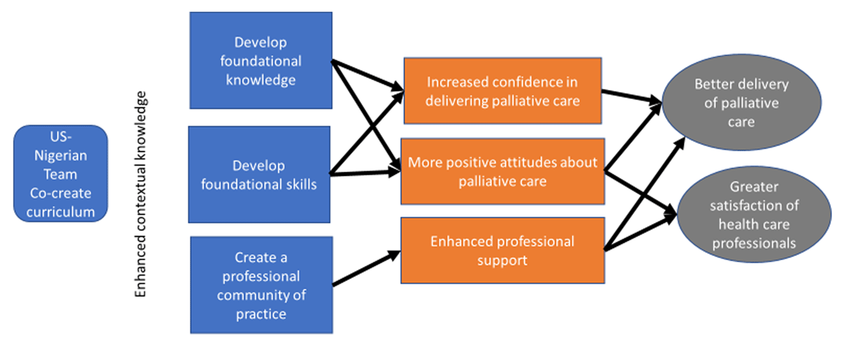 Diagram of theory of change for palliative care training program