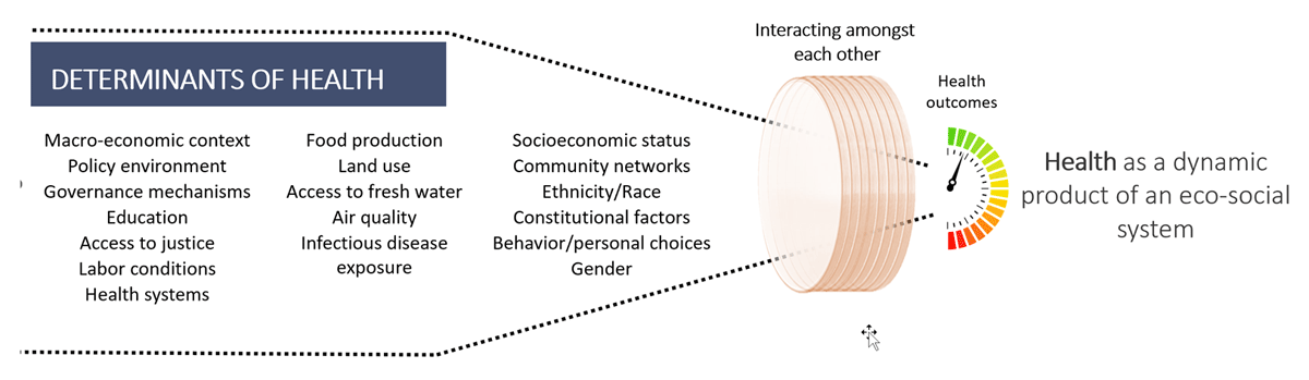 Health is an outcome of the interaction of the determinants of health