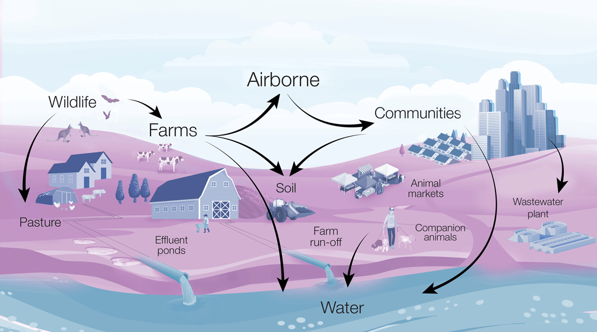 Transmission routes of environmentally driven zoonoses along the landscape gradient of human-animal-environment interactions