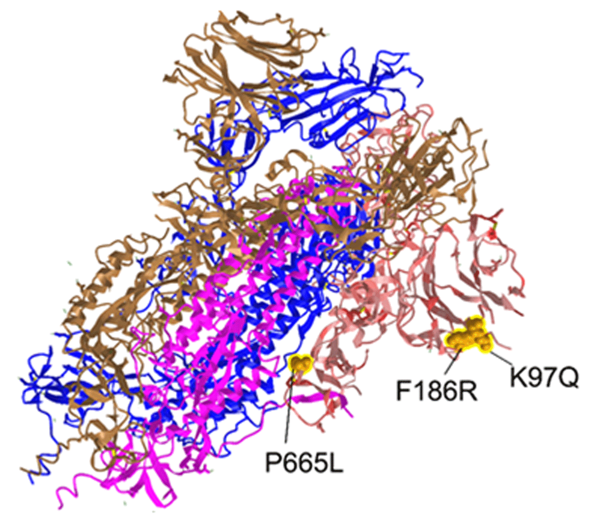 The SARS-CoV-2 NTD comprised multiple mutation following EPFR exposure