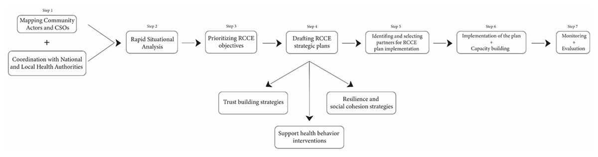 Steps of the RCCE Plan
