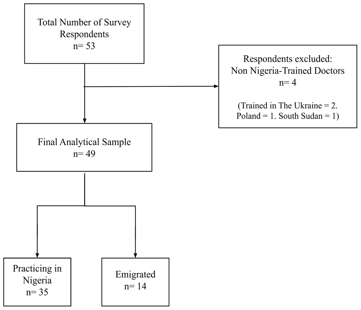 is a flow diagram illustrating the arrival at the total analytical sample of 49 physicians