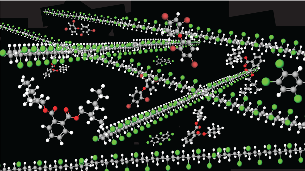 Figure 2.5 Plastic - a mixture of inter-twined polymers and multiple chemicals.