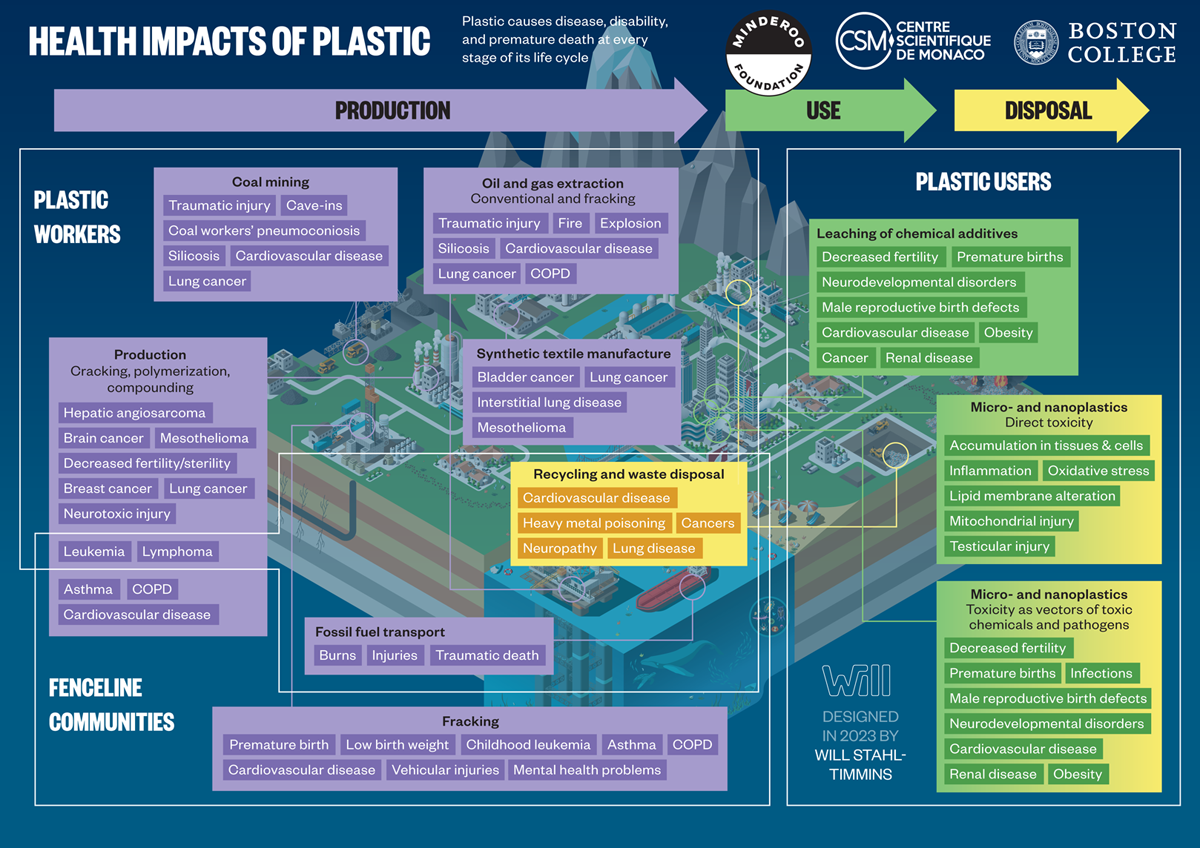 Figure 4.1 Health impacts of plastic.