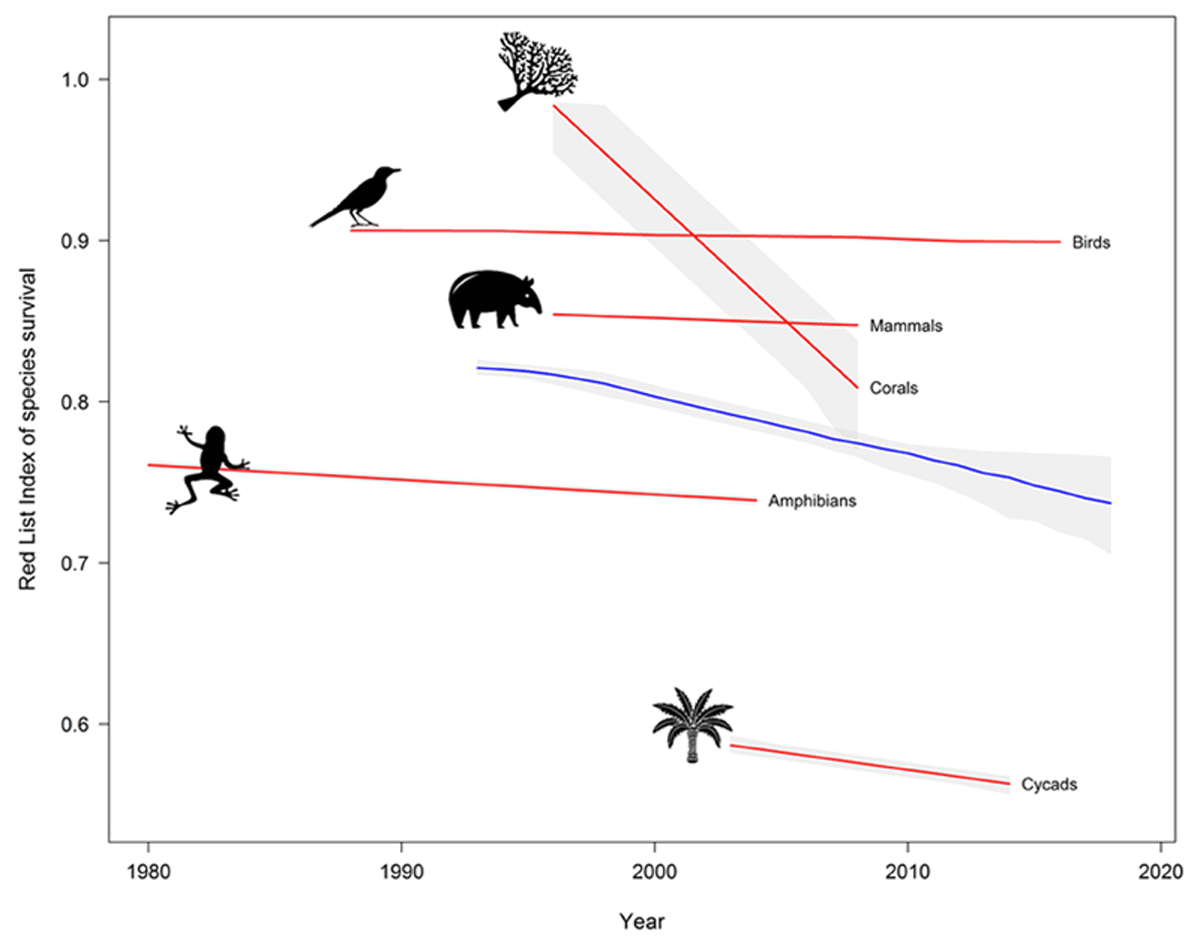 Red List Index of species extinction. Blue line indicates overall index for all taxacombined. Source: IUCN [41]