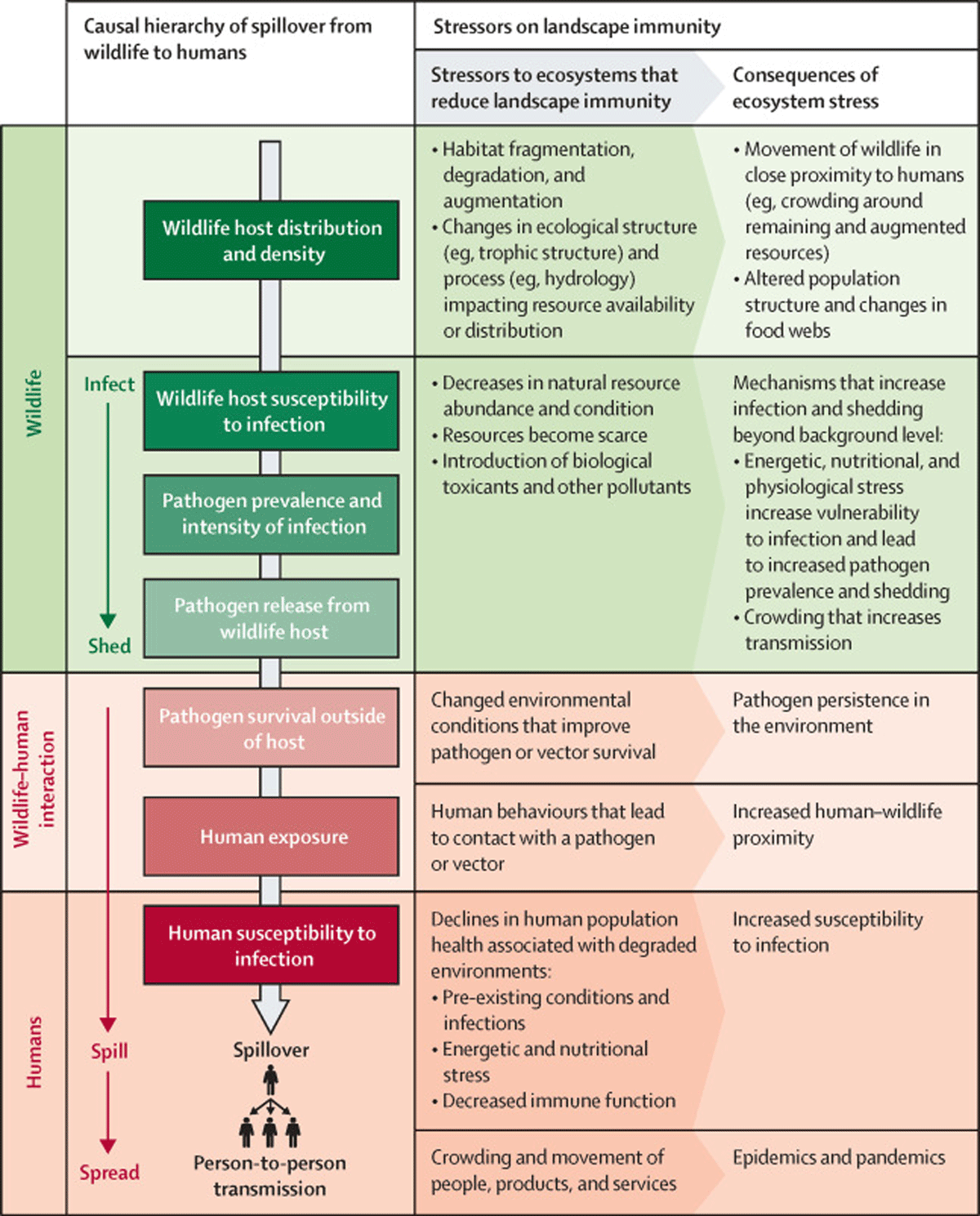 Land-use induced spillover of zoonotic infections. Source: Plowright et al. [46]