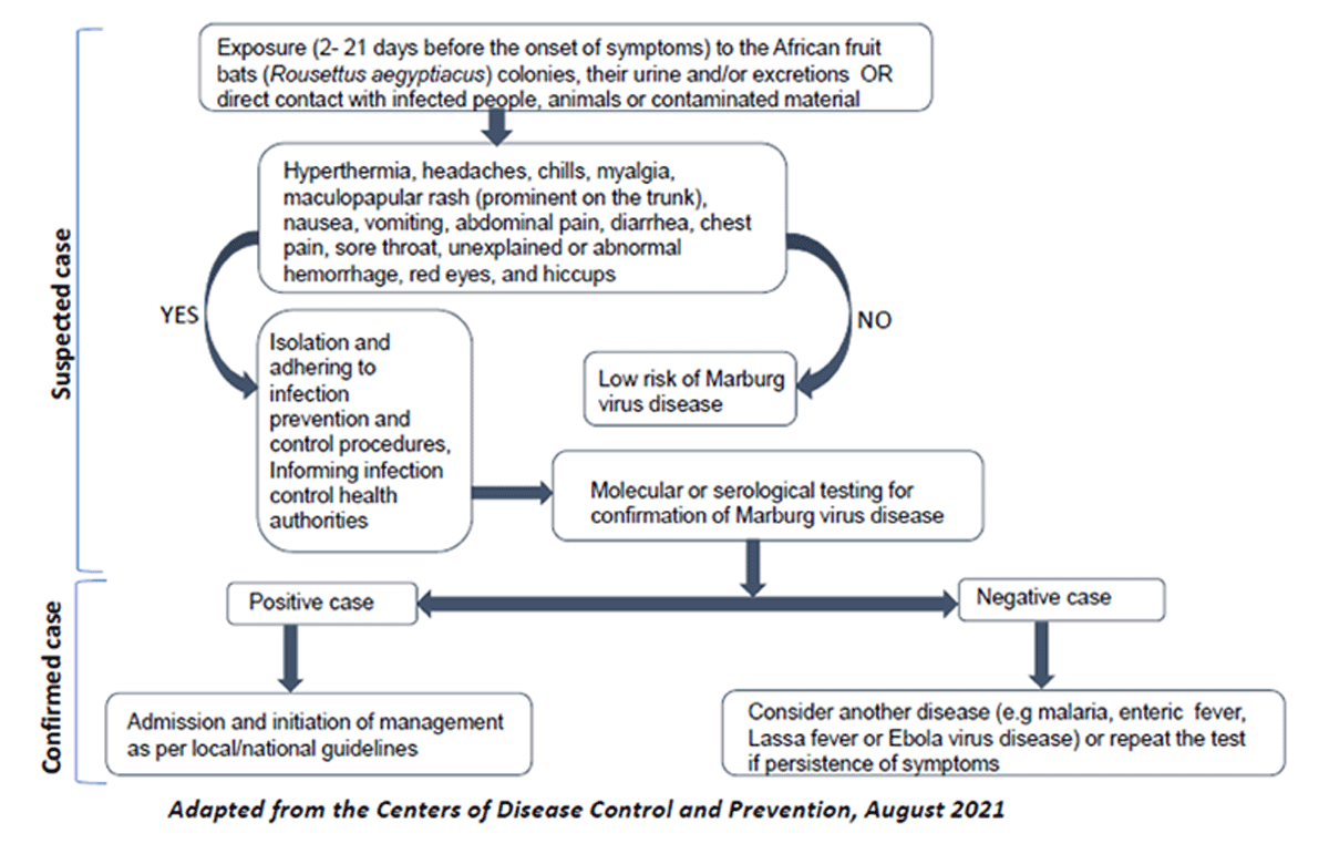 Diagnosis flow chart of Marburg virus disease