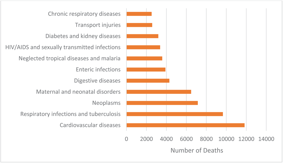 Causes of Deaths in Rwanda, 2019