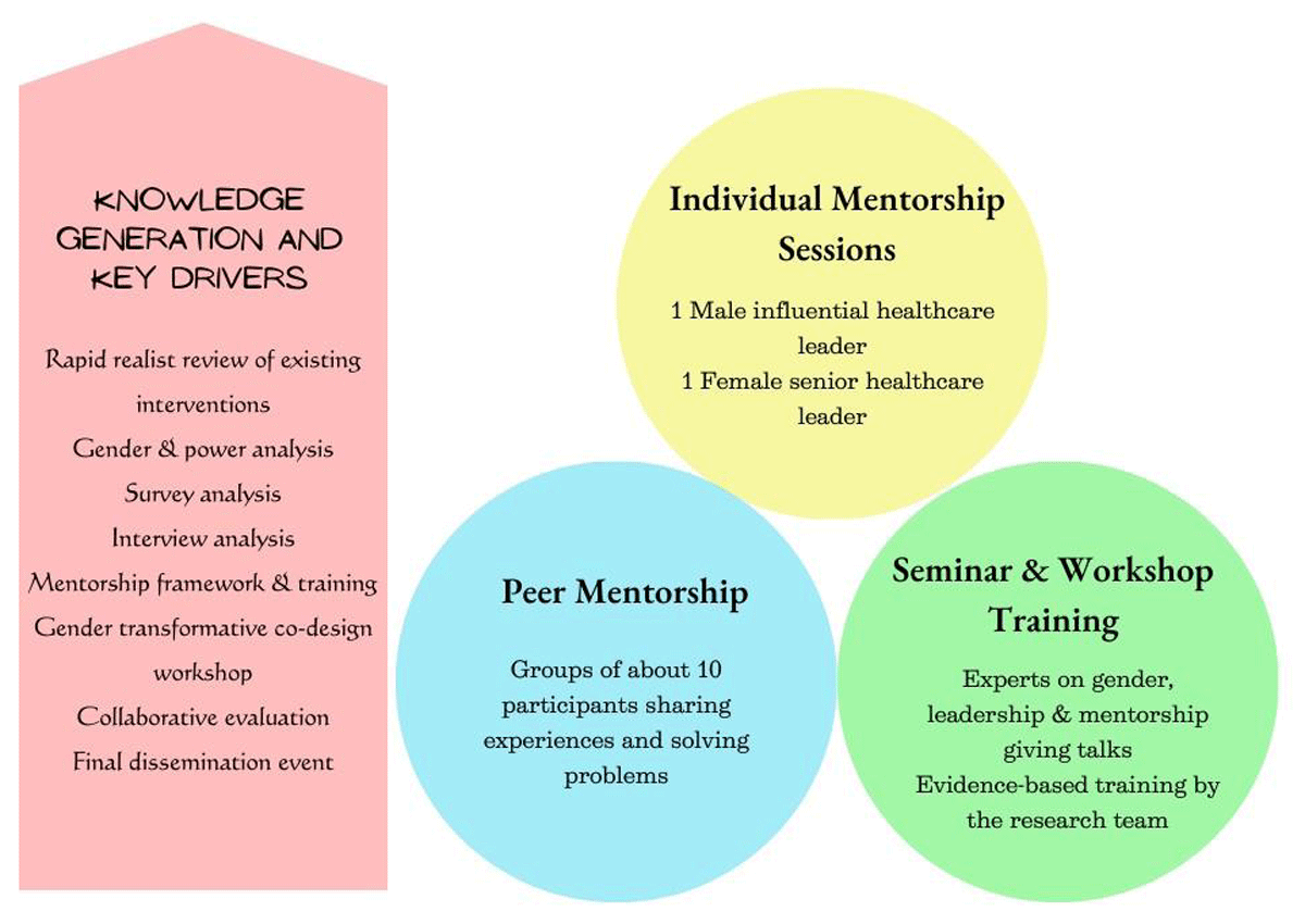 Leadership and Mentorship Blueprint