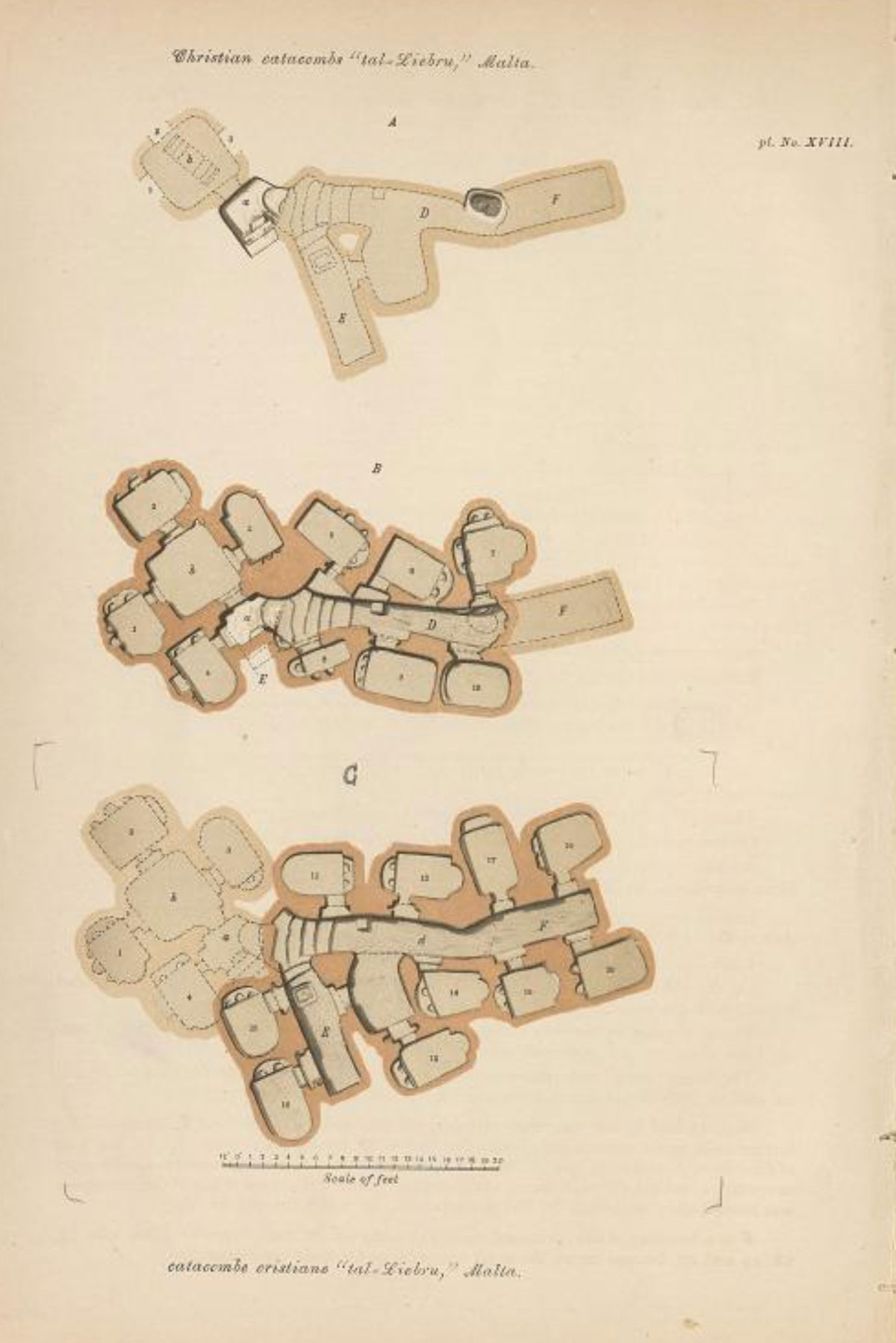 Colored table from a volume with three plans of a catacomb