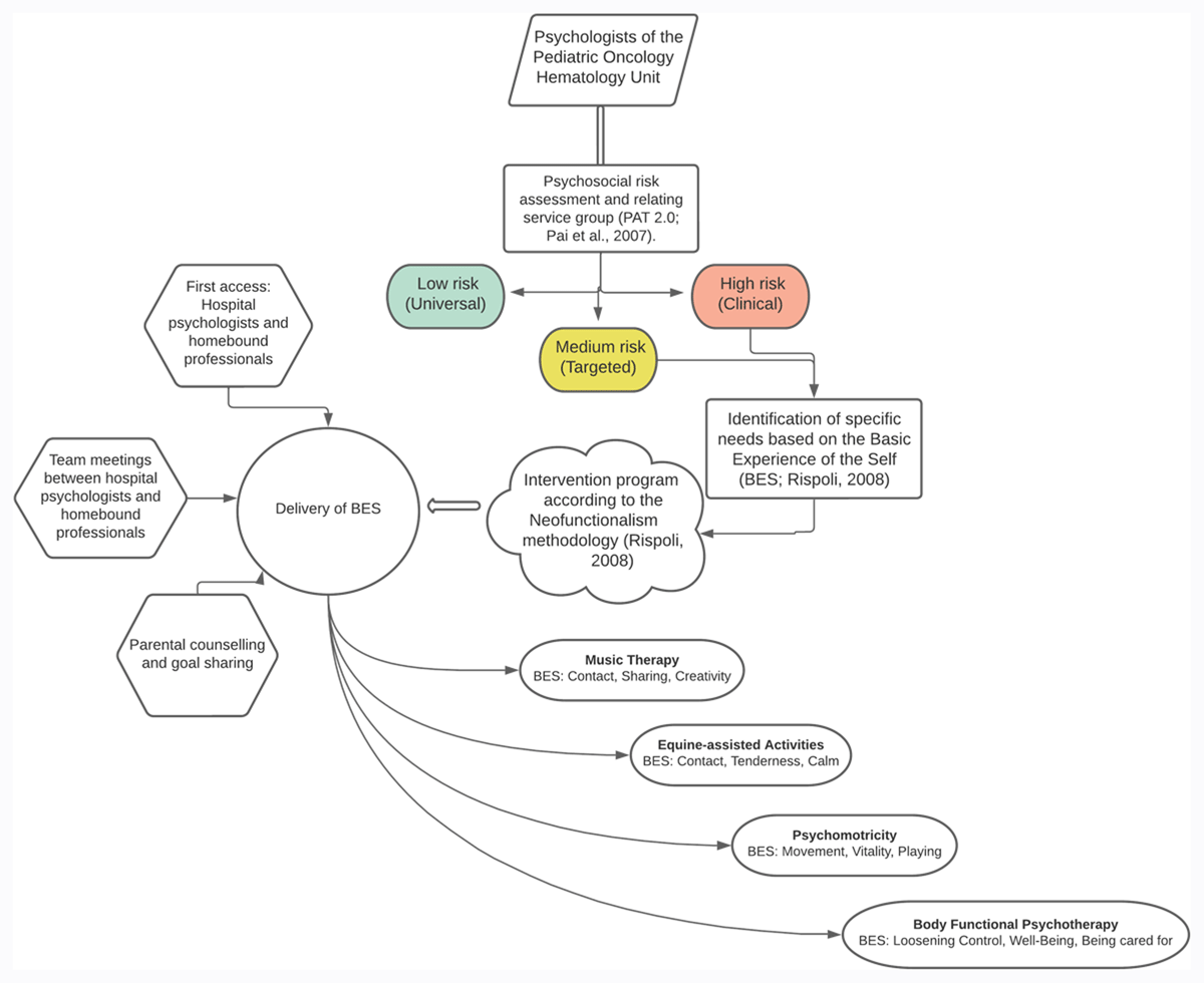 Flow diagram of the project, showing the initial assessment of the risk profile, and the subsequent delivery of the different activities based on the Basic experience of the self model