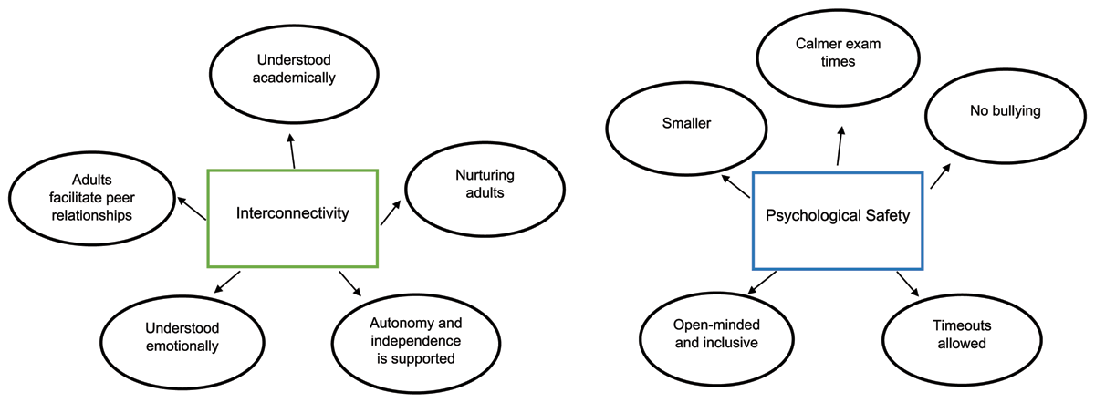 Thematic analysis of qualitative and quantitative data: overarching and subordinate themes