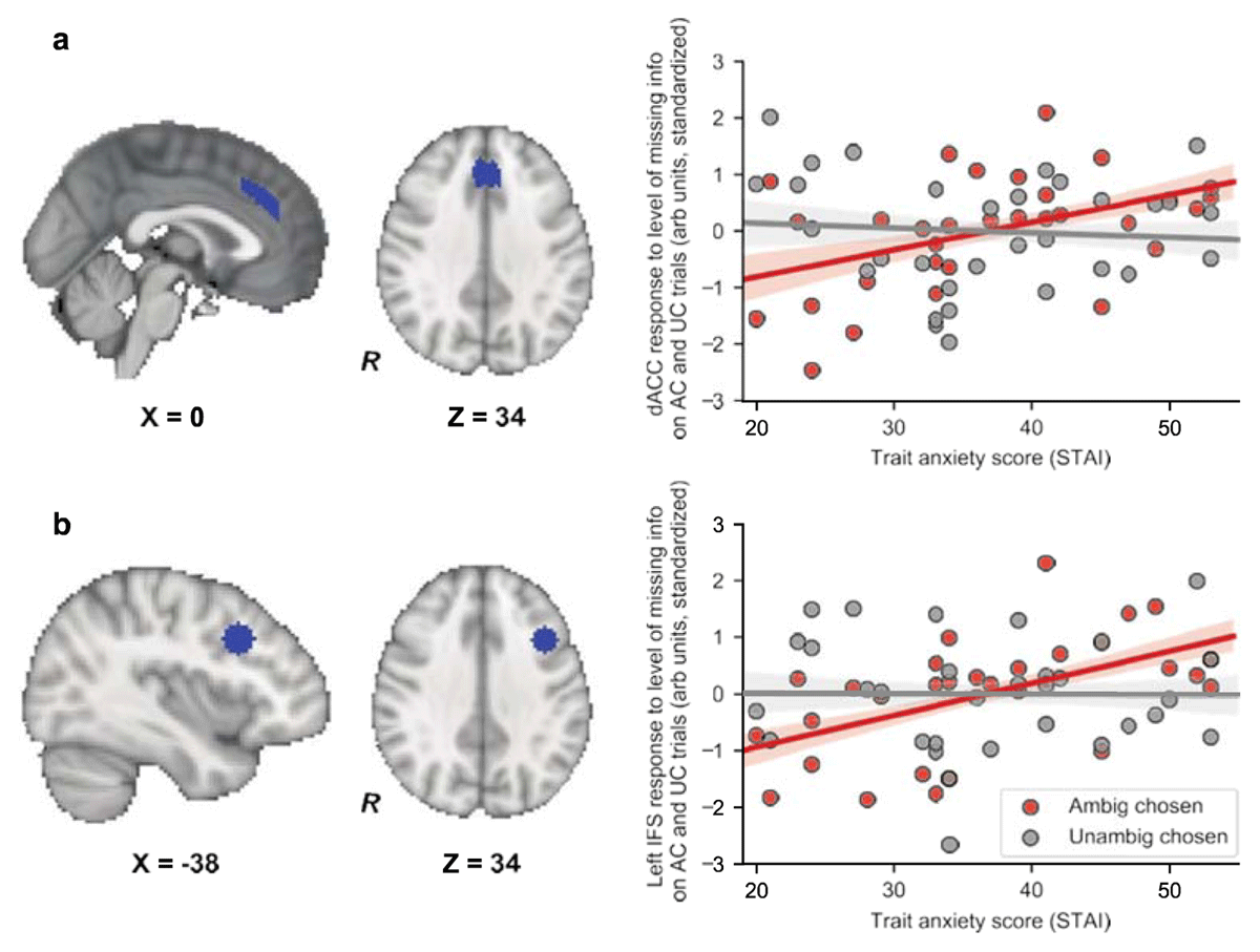 Trait anxiety was linked to increased dACC and IFS
                        activation