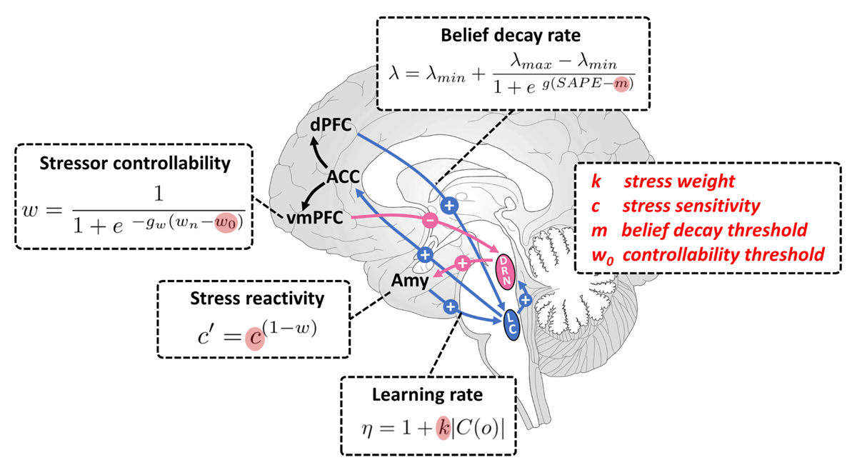 Possible neural correlates of the model parameters related to suicidality