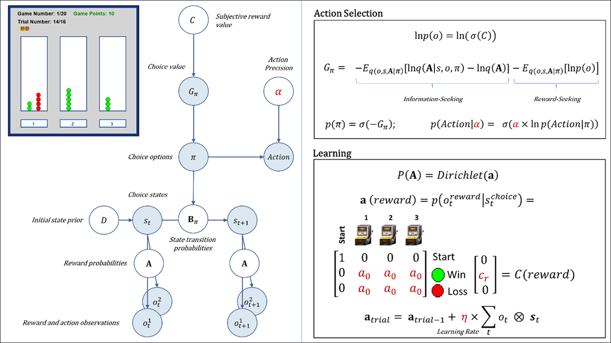 Illustration of task interface, graphical model, and model equations