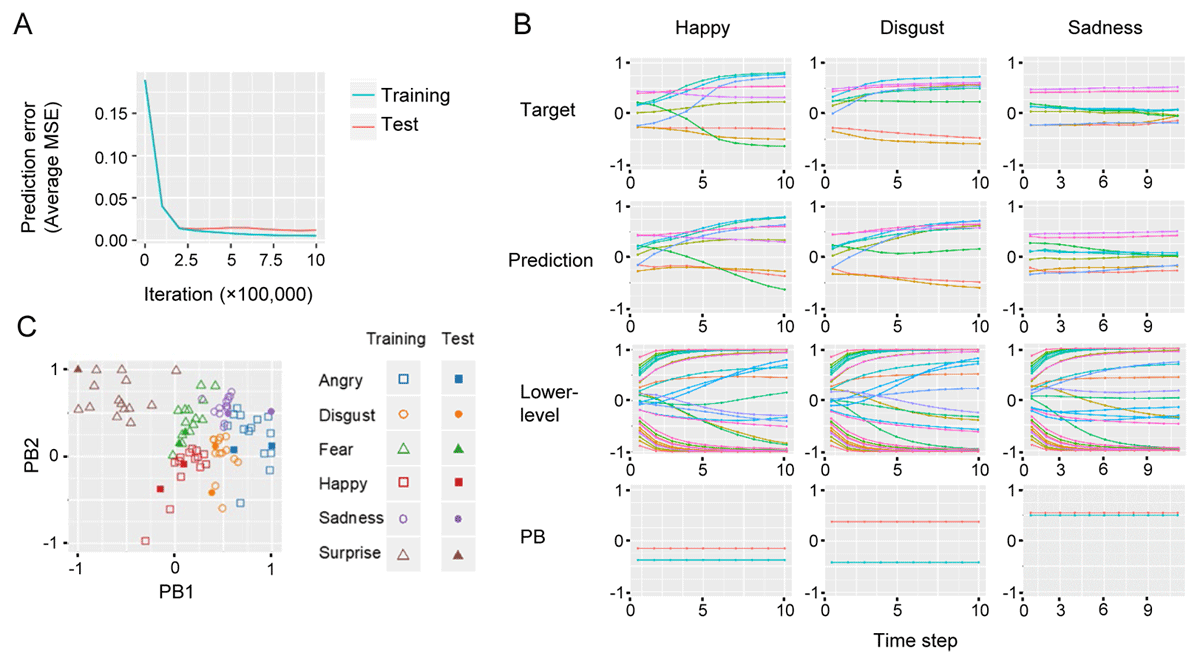 Neural activity in a hierarchical neural network model embodying predictive processing theory