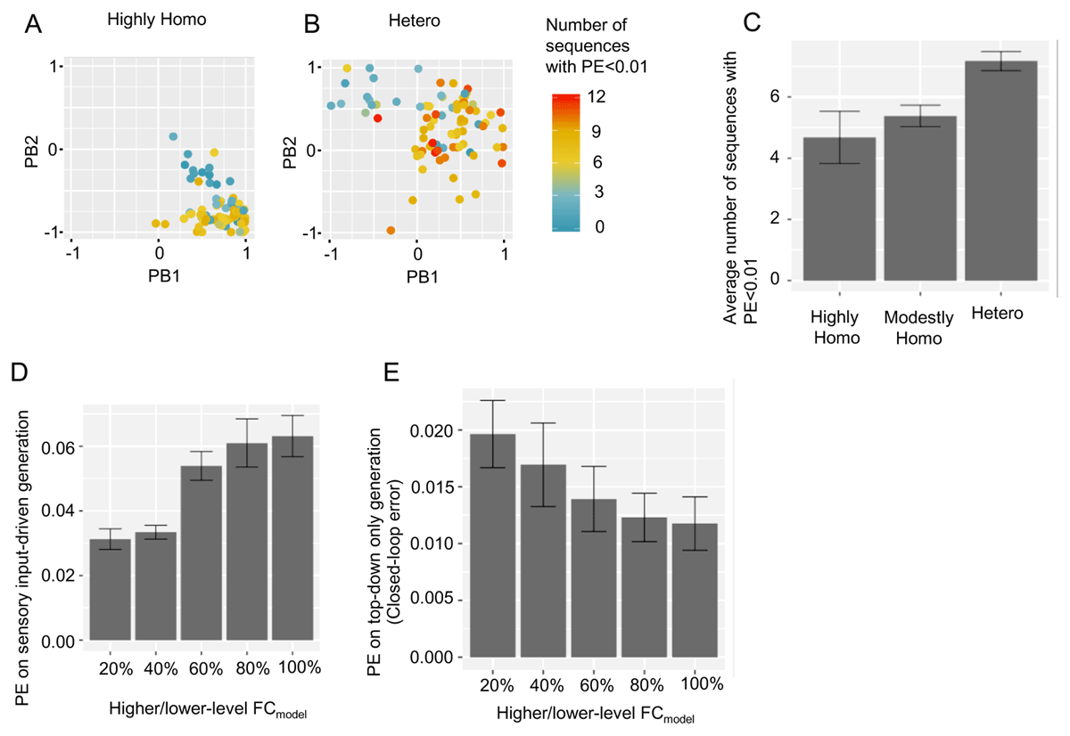 Mechanisms by which functional connectivity and neural excitability homogeneity interact to cause ASD symptoms