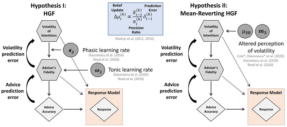 Model space. Left: Standard 3-level Hierarchical Gaussian Filter (HGF).(Mathys et al., 2011, 2014) Right: Mean-reverting HGF with a drift at the third level, which captures learning about the volatility of the adviser’s intentions. This model expresses the notion that early psychosis may be characterised by an altered perception of environmental volatility