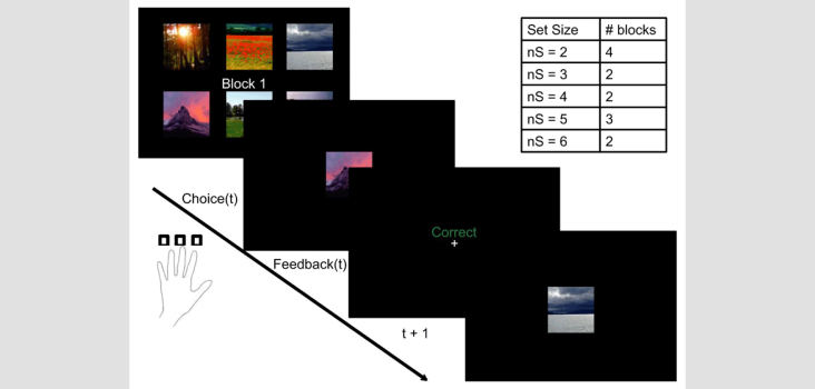 The Reward-Complexity Trade-off in Schizophrenia