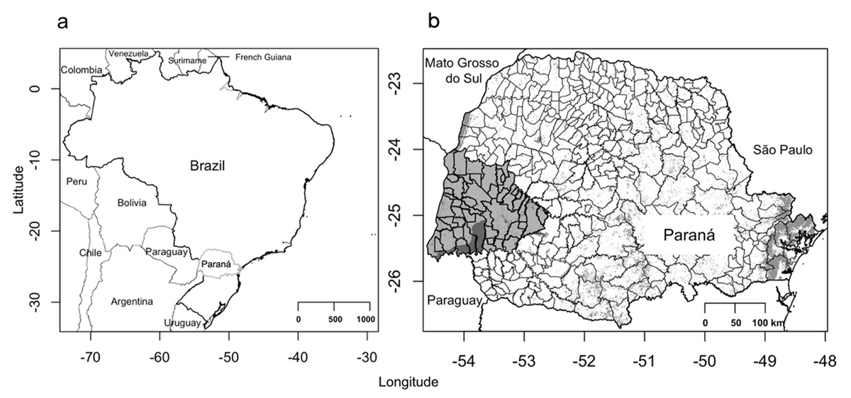 Maps illustrating the studied region in southern Brazil, with (a) the state of Paraná indicated in southern Brazil, and (b) the 50 municipalities in the state of Paraná where bird records were considered (dark gray). The remaining vegetation is shown in gray, including Iguaçu National Park (darker gray, due to overlap), western Paraná.