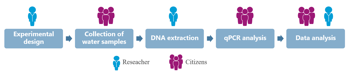 Schematic overview of the project “DNA & Liv” (abbreviated DL) offered by the Natural History Museum of Denmark as a teaching programme for high school students