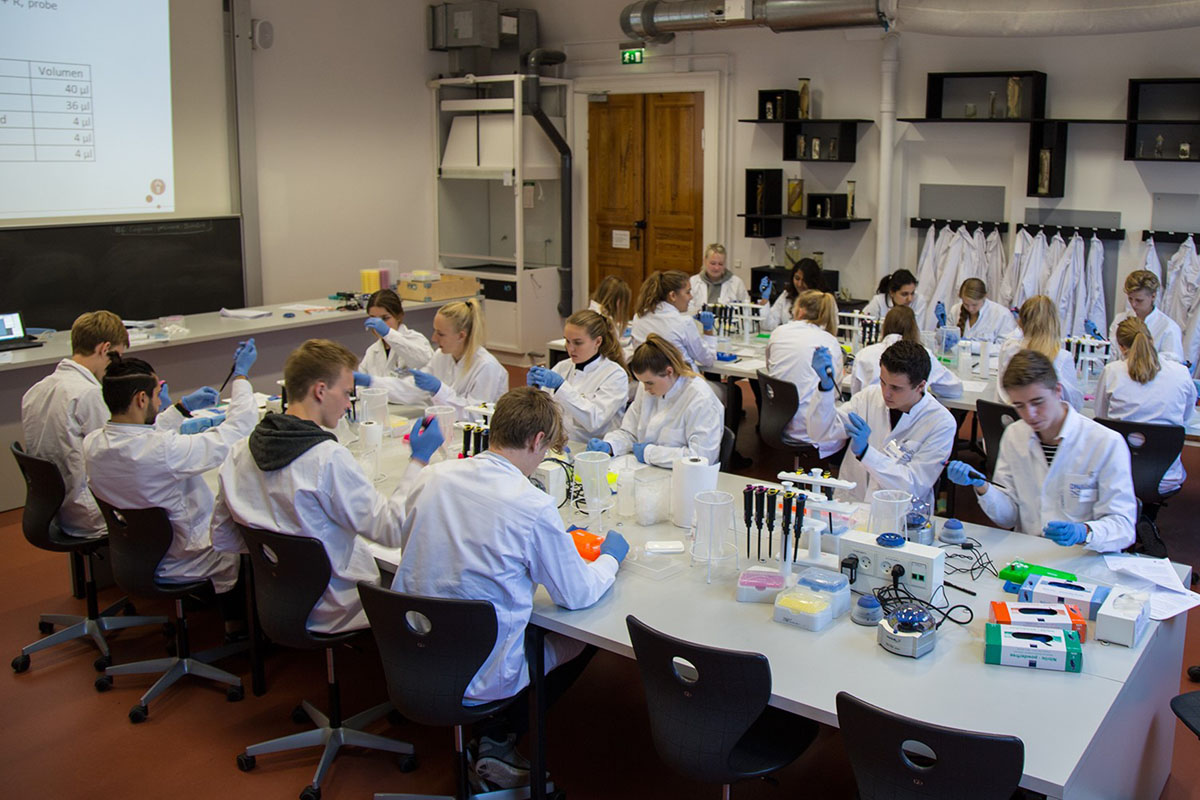 Citizens at work in the DNA laboratory, working with eDNA samples and analyses, October 2015