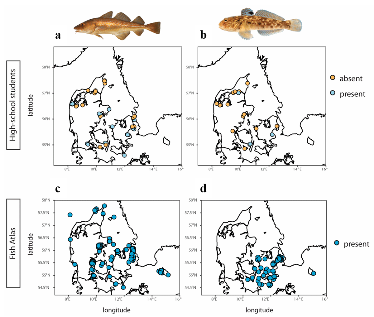 Presence and absence data based on eDNA data for the Atlantic cod (Gadus morhua) (a) and the round goby (Neogobius melanostomus)