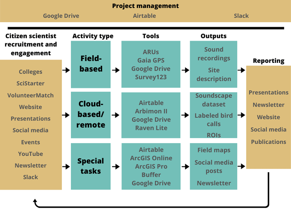 Project management tools: Google Drive, Airtable, Slack. Citizen scientist recruitment and engagement tools: Colleges, SciStarter, VolunteerMatch, Website, Presentations, Social media, Events, YouTube, Newsletter, Slack. Reporting tools: presentations, newsletter, website, social media, publications. Field-based tools (shaded teal): ARUs, Gaia GPS, Google Drive, Survey123. Field-based outputs: Sound recordings, site description. Cloud-based/remote tools (shaded teal): Airtable, Arbimon II, Google Drive, Raven Lite. Cloud-based/remote outputs: Soundscape dataset, Labeled bird calls, ROIs. Special task tools (shaded teal): Airtable, ArcGIS Online, ArcGIS Pro, Buffer, Google Drive. Special task outputs: Field maps, Social media posts, Newsletter