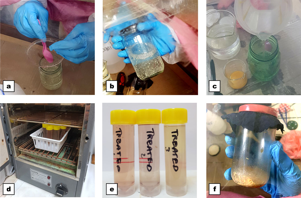 Fly egg disinfection process and quality control steps performed by Isis